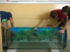 20150922_akvaristicky_kruzok_05