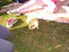WP_20171017_13_42_37_Pro