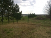 20150410_vcelnica_03.jpg