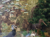 20190417_102527