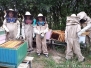 Letná škola - 17.-21.8.2020