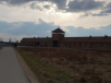 Brezinka