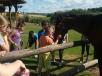 20150706-10_primestsky_tabor_13