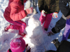 IMG_20190129_134902