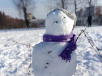 IMG_20190129_135305