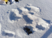 IMG_20190129_135346