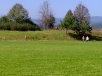 WP_20140924_005