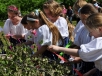 20150430_stavanie_maja_07.jpg