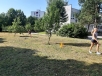 20190621_085906