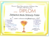 20160127_florbal-chlapci