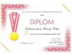 diplom_bedm_ziaci-2015