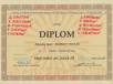 diplom-futbal