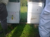 WP_20140926_15_42_18_Pro