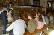 Naše školské akvárium slúži nielen ako estetický doplnok v suteréne školy, ale vieme ho veľmi dobre využiť aj ako učebnú [&hellip;]