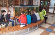 Žiaci 5.A triedy v rámci predmetu biológia využili možnosť sledovania rýb v našom školskom 600 litrovom akváriu na praktickom cvičení. […]